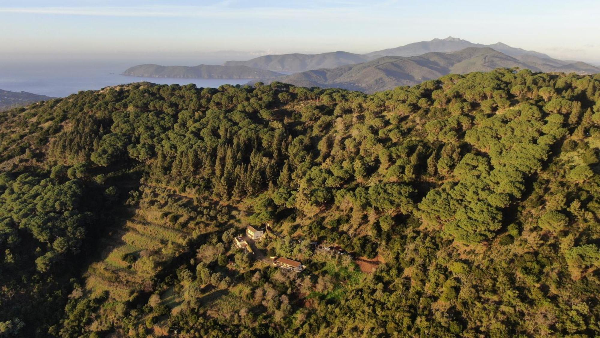 Aria Di Collina - Isola D'Elba Lägenhet Porto Azzurro Exteriör bild