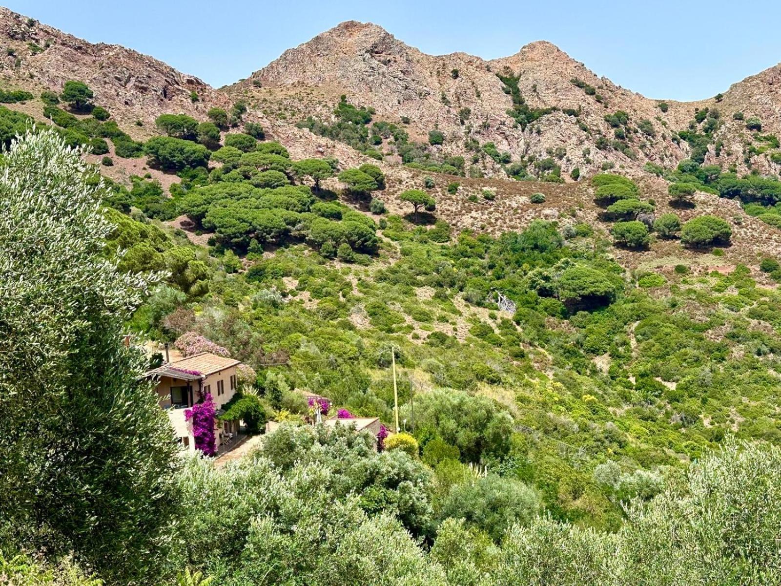 Aria Di Collina - Isola D'Elba Lägenhet Porto Azzurro Exteriör bild